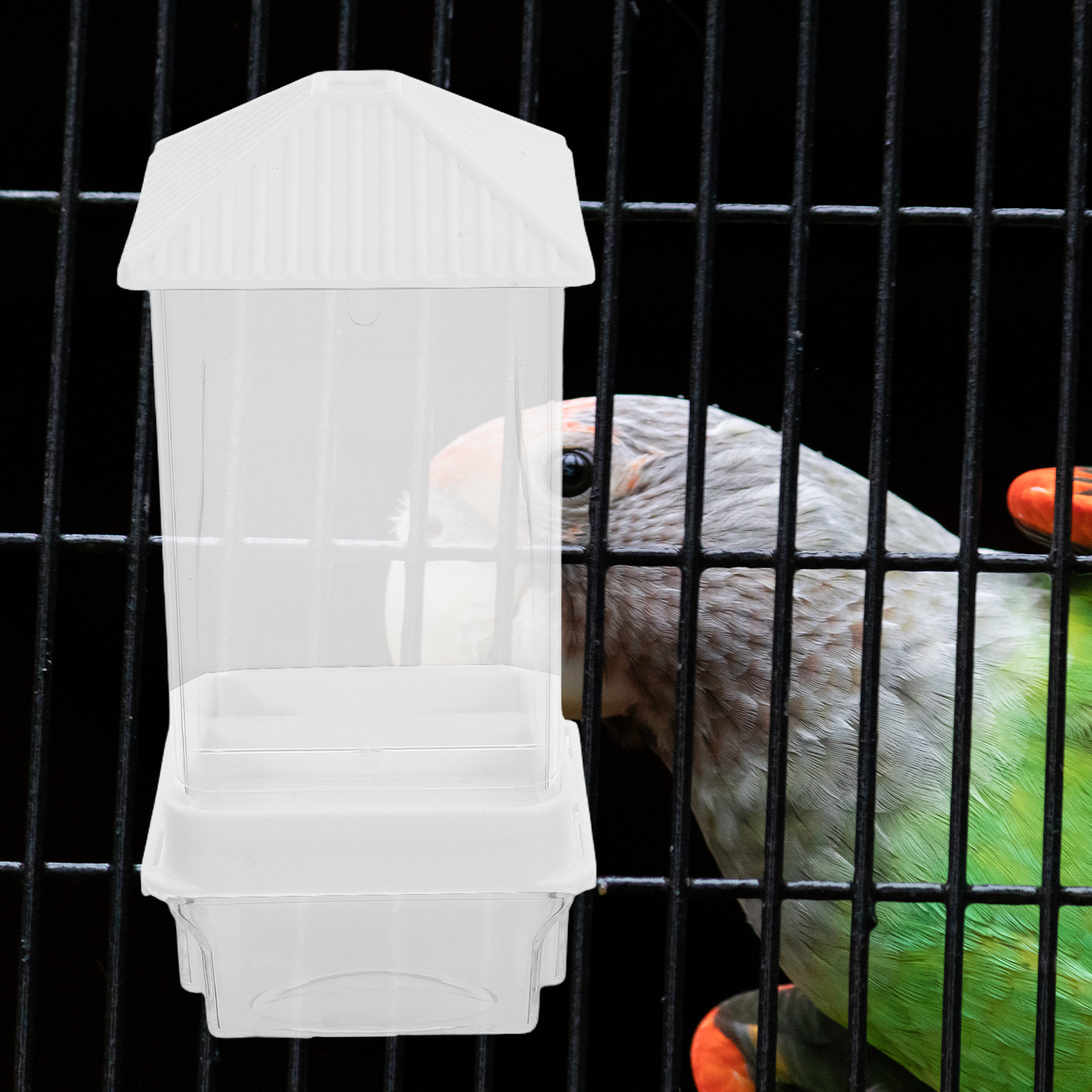 Mangeoire automatique pour ois - Feeding avis et prix